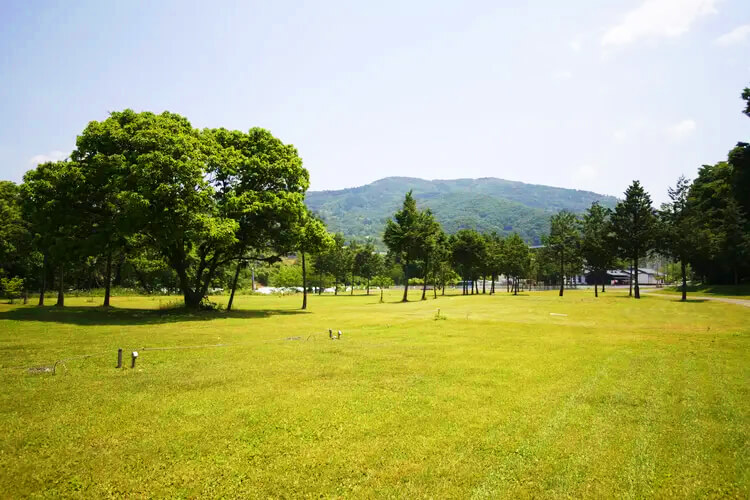 一面芝生のキャンプサイト
