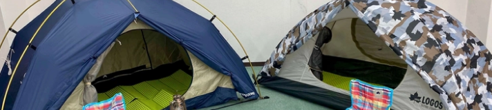 おうち（室内）でキャンプ